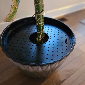 Plant Pot Cover